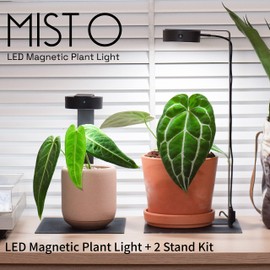 ONF Mist O Desktop Planted Lighting LED Light for Indoor Plants Brightness Dimmable Full Spectrum Grow Light, Room Decoration, Terrarium Light for Potted Plant and Succulent Matt Black