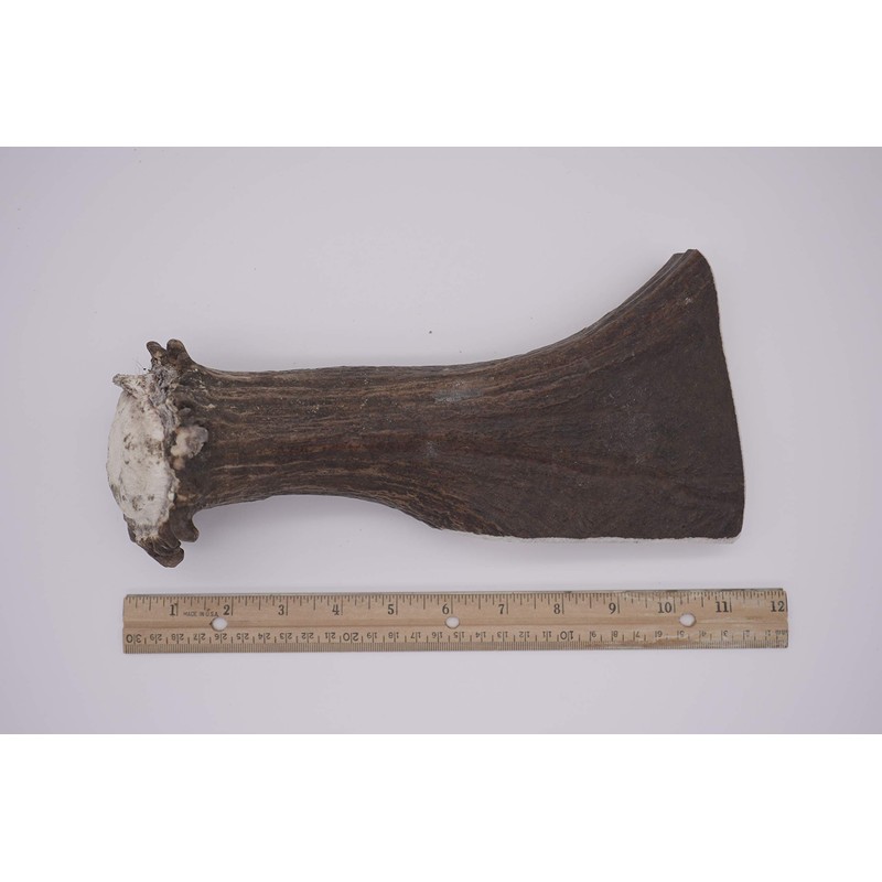 Mountain Dog Chews - Monster Moose Antler Dog Chew -