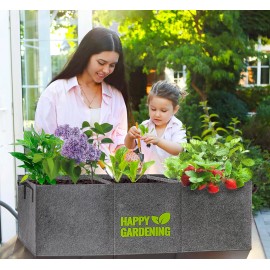 Linksandt Fabric Grow Bags, 2-Pack Raised Garden Bed with Handle for Vegetable Herbs, F...