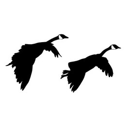Pair of Geese Gliding in Waterfowl Hunting Decal waterfowl hunting accessories 2019 by Waterfowldecals (Medium, White)