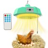 Chick Brooder Heating Plate,Brooder Heater For Chicks,500W Poultry Heat Lamp