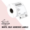 Deco Fluer 1-500 Labels 4 x 6 Inch Ideal for