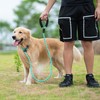 iYoShop Durable Slip Lead Dog Leash with Padded Handle and
