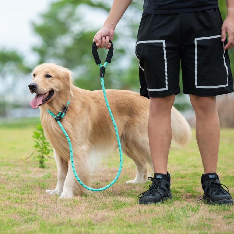iYoShop Durable Slip Lead Dog Leash with Padded Handle and