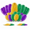 24 Pcs Carnival Feathers Bulk, Gold Green Purple Ostrich Feathers