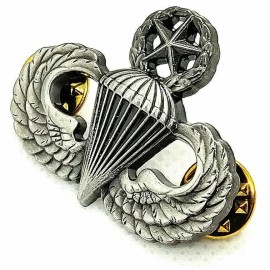 US ARMY Airborne MASTER Parachutist Paratrooper Jump Wings Pin Oxidized Badge