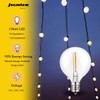 Jslinter G40 LED String Light Replacement Bulbs, 5000K Daylight, 25