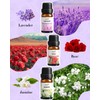 MIZZEO Floral Essential Oil Set, Premium Pure & Natural Aromatherapy