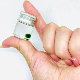 Live Marimo Moss Ball Super Mini Plant Bottle Jar Gift For Kids Instruction included Decor Decorative Ornaments pebbles aquarium plants aquascape tank - PCS: 1