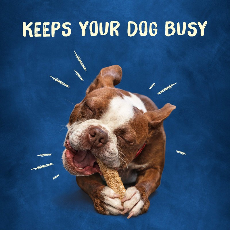 Purina Busy Chewnola Small/Medium Dog Bones, Oats & Brown Rice,