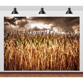 Loccor 7x5ft Fabric Spooky Corn Field Backdrop Fall Corn Field Stalks Dark Cloudy Sky Storm Background Hallowen Haunted Cornfield Party Decorations Kids Adults Photo Booth Studio Props
