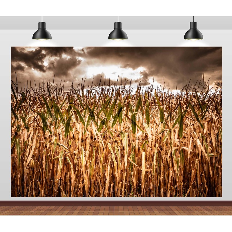 Loccor 7x5ft Fabric Spooky Corn Field Backdrop Fall Corn Field