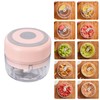 Mini Chopper Durable Electric 100ml Capacity Quickly Chopping Portable Grinder