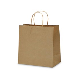 TOWRAP Brown Paper Bags With Handles 100Pcs 10.6 x 3.1 x 8.3 Inch Kraft Gift Bags Bulk, Shopping Bags, Party Bags, Retail Bags, Merchandise Bags, Favor Bags