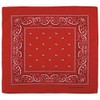 MFH Bandana Red-White