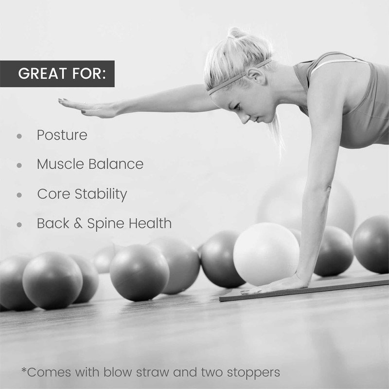 Yoga Studio Exercise Fitness Stability Gym Yoga Pilates Balls (10"