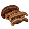 Red Reishi Mushroom Slices | Líng Zhī | Dried Herbal
