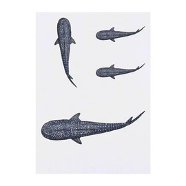 4 x 'Whale Shark' Temporary Tattoos - Water Resistant, Skin-Safe, Non-Toxic Transfers, Mixed Sizes (TO00071804)