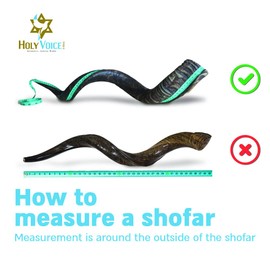 Kosher Kudu Shofar Horn from Israel 36”-39” – Traditional Half Polished Kudu Yemeni Shofar Holy Voice Easy Blowing Ancient Jewish Musical Instrument.