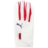 PUMA Golf Gloves WWP Grip Gloves (Right Hand) Men's, bright