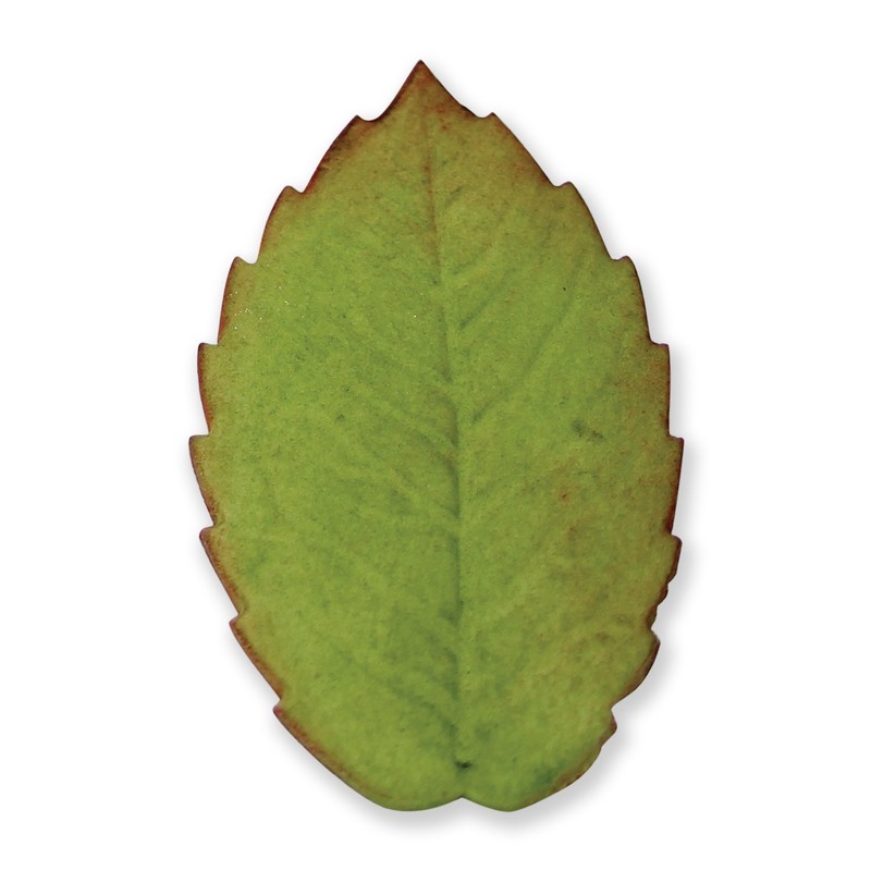 PME Veined Rose Leaf Plunger Cutter, 3X-Large Size