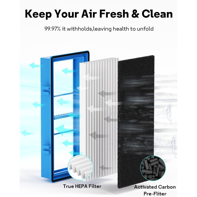 Leemone Aer1 Filter Replacement for Holmes Air Purifiers, 2 True