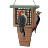 Kingsyard Recycled Plastic Suet Feeder, Tail Prop Suet Feeder for