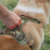 Pet Sports Harness Adjustable Dog Chest Harness Lightweight Breathable Dog