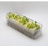 Living Farm Endive Sponge Media with Seeds (Urethane Media for