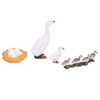 4 Stage Growth Cycle Model Animal Duck Life Cycle Children