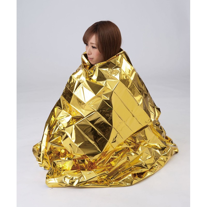 エルパ(ELPA) リバーシブル防災シート レジャーシート 防災グッズ サイズ:幅210cm 長さ140cm RHS-02