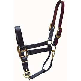 Hamilton 1-Inch Nylon Adjustable Horse Halter with Leather headpoll and Throat Snap, Average Size 800 to 1100-Pound, Graphite