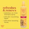 Burts Bee Waterless Shampoo, 10-Ounce