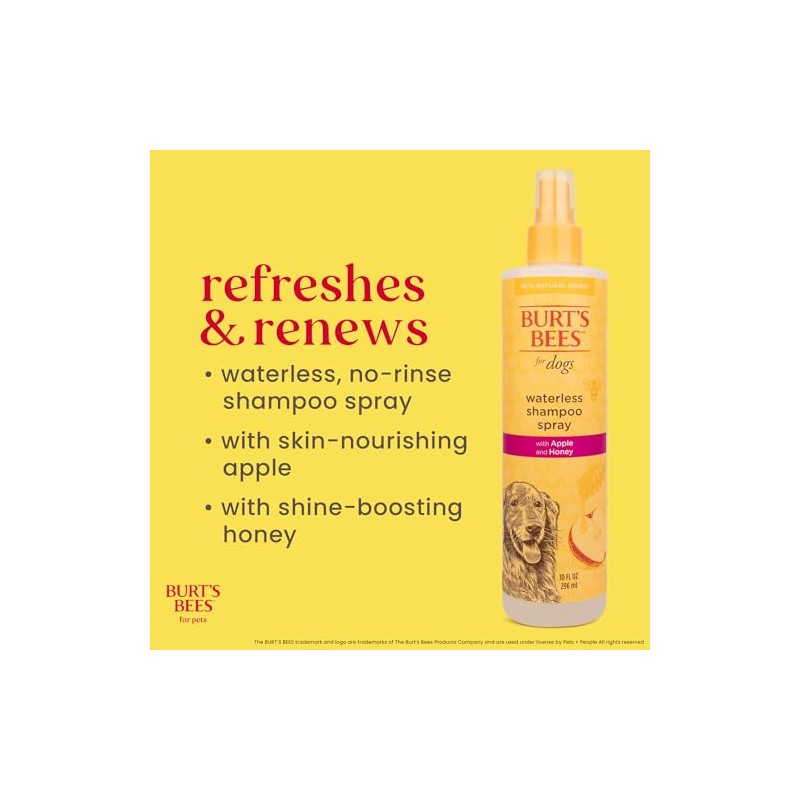 Burts Bee Waterless Shampoo, 10-Ounce