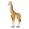 Beistle Giraffe Jointed Cutout - 1 Pc.