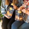 Sonoma Creamery Cheese Crisps - Cheddar Savory Cheese Cracker Snack
