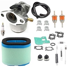 Replacement for Am134697 790120 693909 694202 692648 AM134697 JS63FOR John Deere JA60 JA62 JA65 JS40 JS45 JS63C JS63E 21-inch Walk-Behind Lawn Mower SP6211 SP6213 Carb