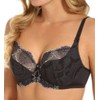 Empreinte Lilly-Rose Low Necked Bra (44D, chantilly)
