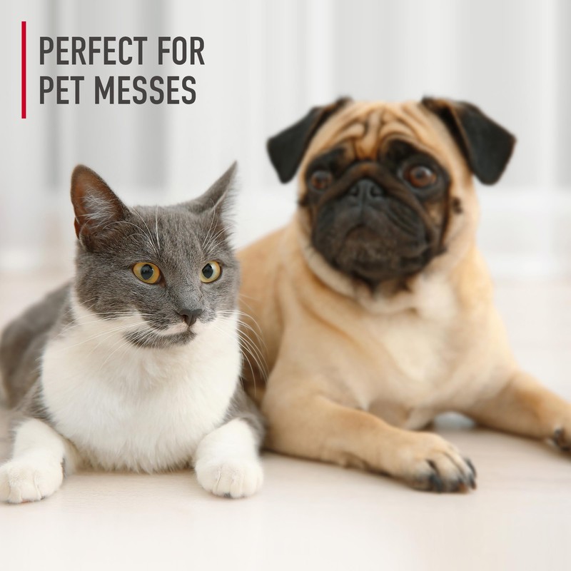 Hoover Pet Carpet Cleaner Solution, 64 oz., Tropical Breeze Scent,