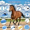 Kit De Aseo Para Caballos 13 Piezas Con Bolsa Organizadora