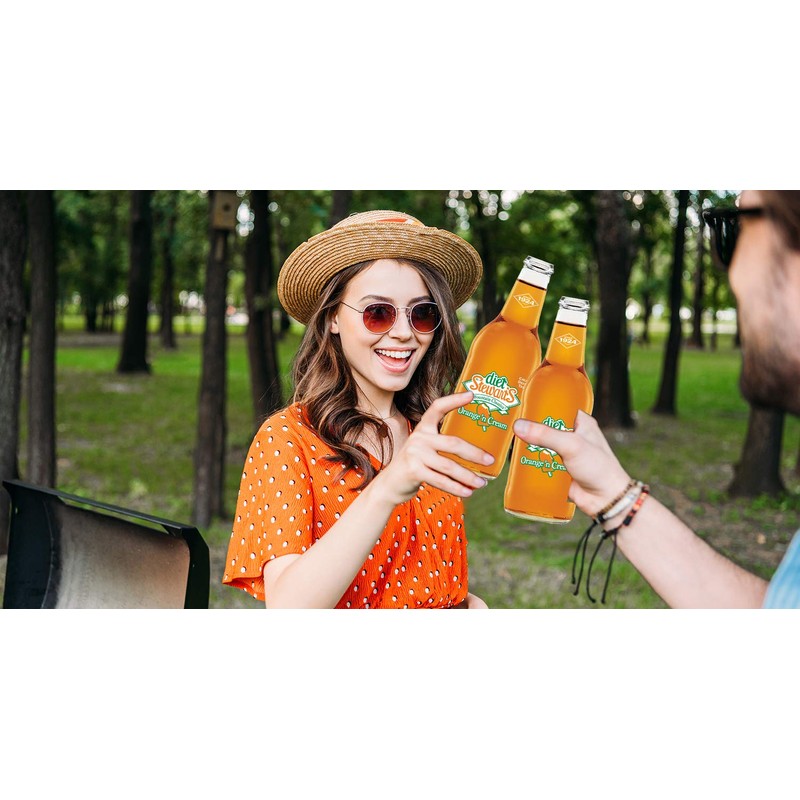 Diet Stewart's Orange 'n Cream Soda, 12 fl oz (12