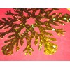 Beistle 14 inch Prismatic GOLD Snowflake Cutout 1 piece, Assorted