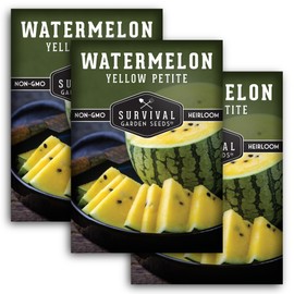 Yellow Petite Watermelon Seed for Planting - 3 Packets with Instructions to Plant and Grow Small Yellow Watermelons in Your Home Vegetable Garden - Non-GMO Heirloom Variety - Survival Garden Seeds