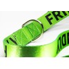 Friendly Dog Lead - Green, Durable & Padded Handle -