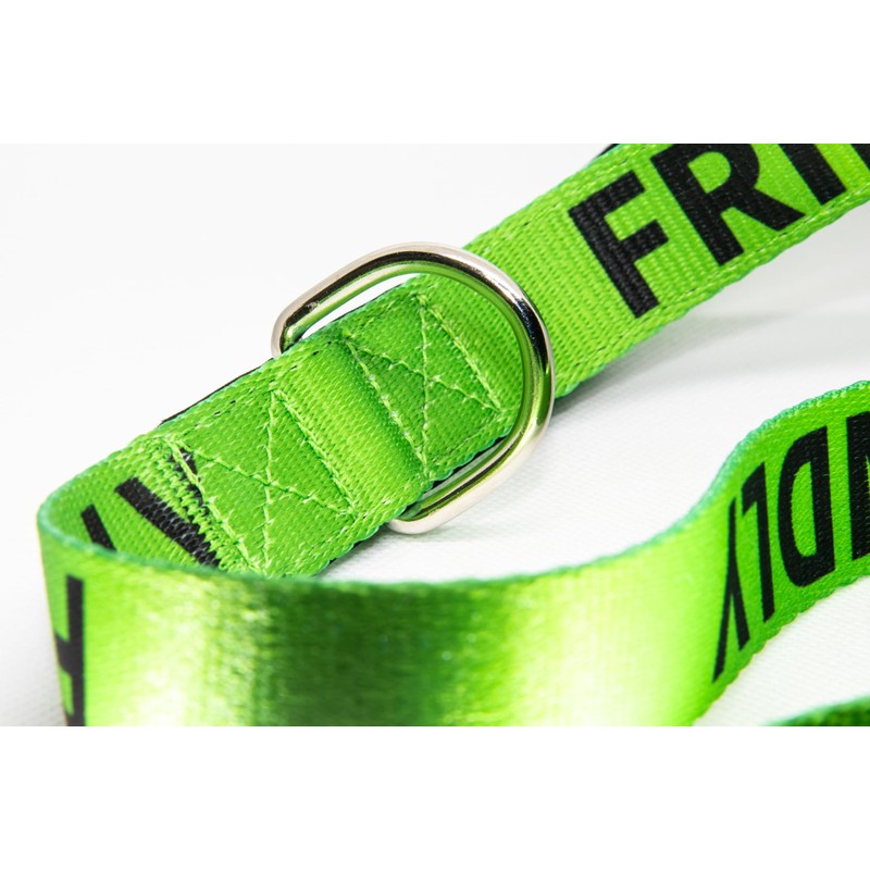 Friendly Dog Lead - Green, Durable & Padded Handle -
