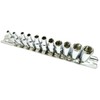 Daptez ® 11pc 1/4" Shallow Drive Socket Set Chrome Vanadium