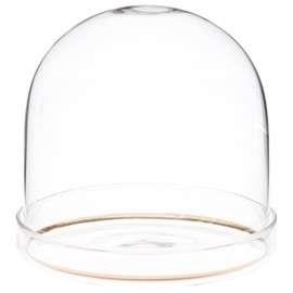 Plymor 4" x 4" Glass Display Dome Cloche with Gold Rim (Clear Glass Tray Base)