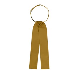 S.H. Churchill & Co. Men's Ascot Tie (Gold)