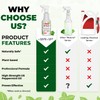 Mighty Mint Peppermint Oil Ant Killer Spray – Natural Ant