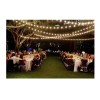 Feit Electric Luces Led En Serie Para Jardin Patio Exterior